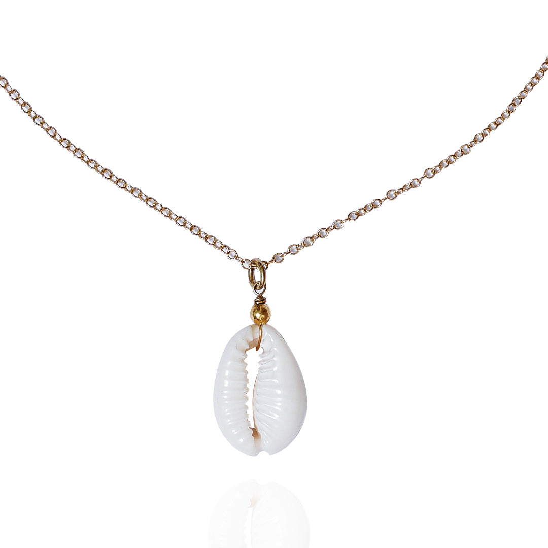 Collar Con Dije Shell | Chapa de Oro 14k | Concha Natural
