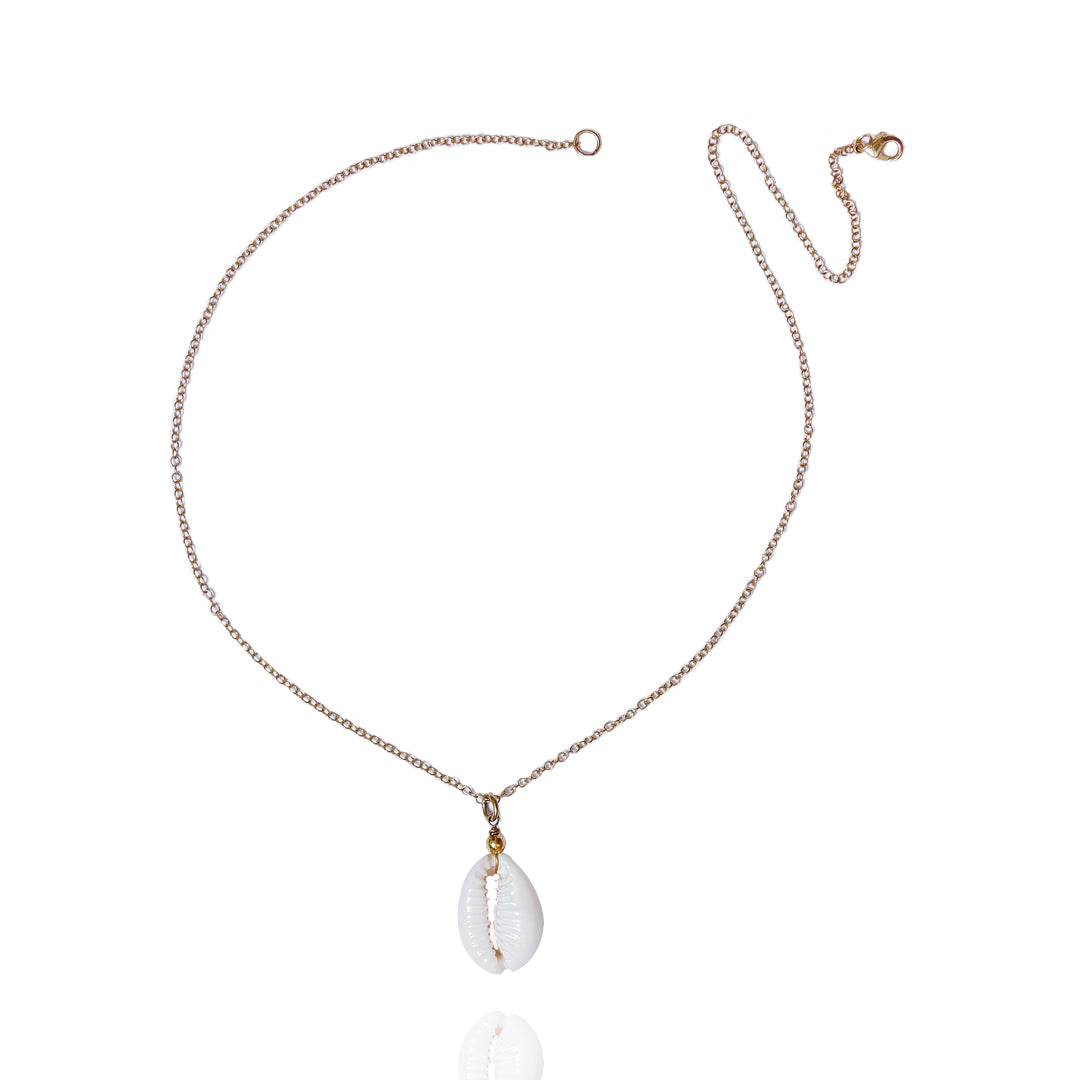 Collar Con Dije Shell | Chapa de Oro 14k | Concha Natural