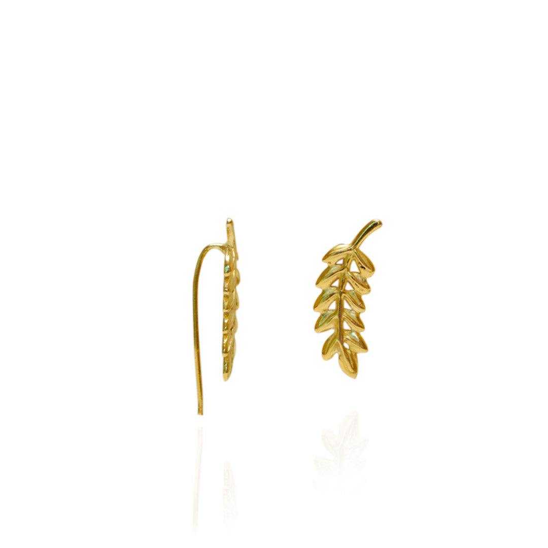 Aretes Ho | Chapa de Oro 14k