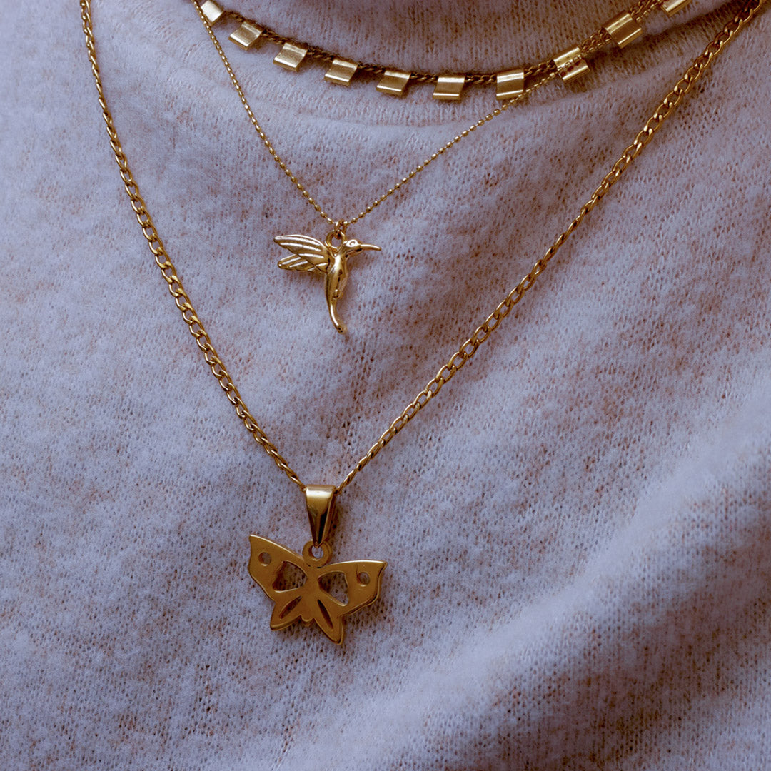 Collar Con Dije Colibri | Chapa de Oro 14k